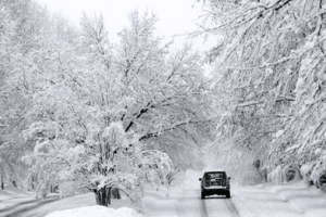 d0e62652e2fb4031b5c9ceeba2f7fa71